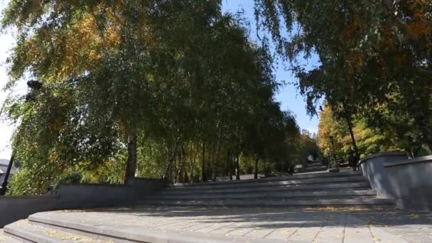 公園で秋の紅葉 — ストック動画