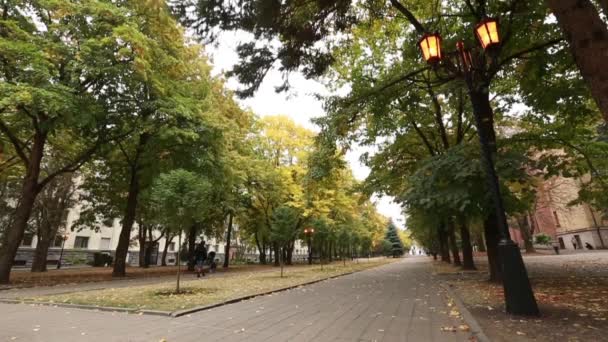 Stavropol, Rusland - oktober 2017: Leaf fall in de park in het najaar. — Stockvideo