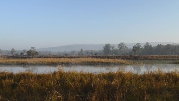 Beau paysage avec lac dans le parc national en Inde 