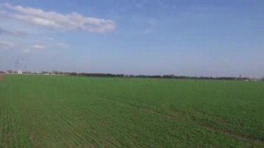 Bir yeşil tarım alanı