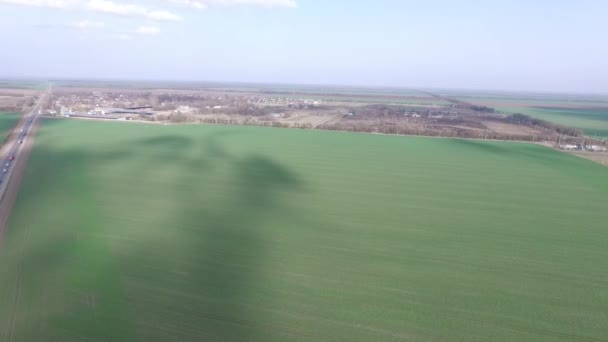 Un câmp agricol verde — Videoclip de stoc