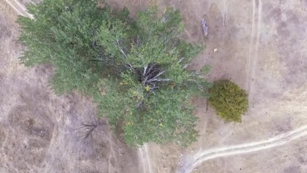 Herbstlandschaft mit kaukasischen Hügeln. Stawropol. Russland. — Stockvideo