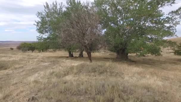 Stavropol regionu. Rusko. Podzimní krajina s kavkazských hor. — Stock video