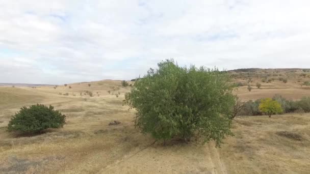 Région de Stavropol. La Russie. Paysage d'automne avec collines caucasiennes . — Video