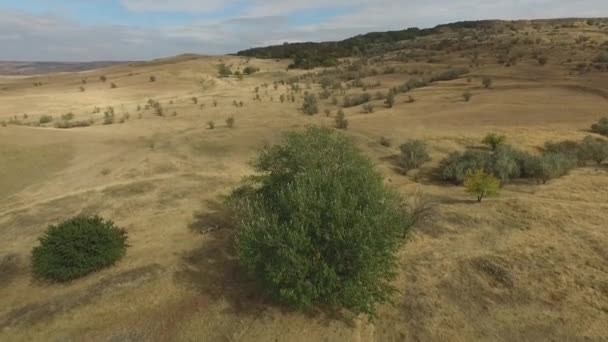 Regio van Stavropol. Rusland. Herfst landschap met Kaukasische heuvels. — Stockvideo