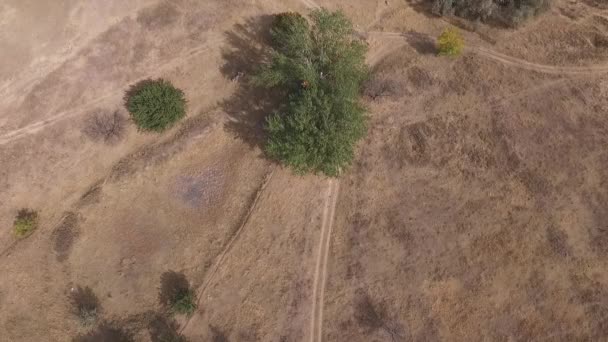 Regio van Stavropol. Rusland. Herfst landschap met Kaukasische heuvels. — Stockvideo