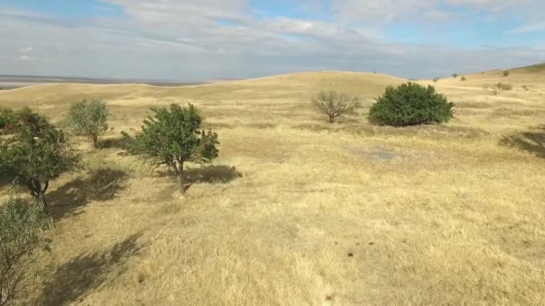 Stavropol region. Russia. Autumn landscape with Caucasian hills. — Stock Video