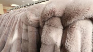 Lüks giysiler ve kürk bir perakende moda mağazası.