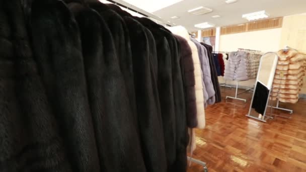 Pakaian mewah dan bulu di toko ritel fashion . — Stok Video