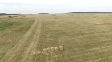 Çimen yatay hava görüntülerini çalıştı mowed ve hasat çiftçi tarafından kullanılan tüm çim ve kış kullanım için kurutma. Rusya, Stavropol.