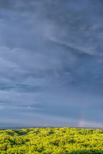 Zomer Zonsondergang Vanuit Hoogte Boven Het Bos Stavropol Rusland — Stockfoto