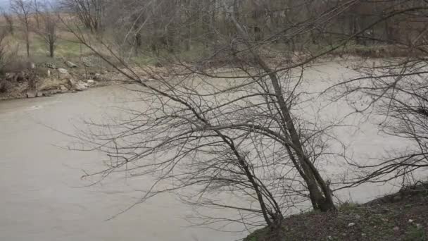 Krajina s řekou bouřlivé jaro — Stock video