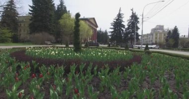 Stavropol Meydanı. Rusya
