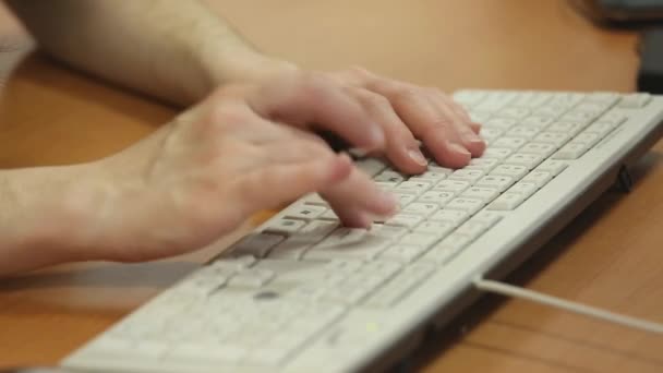Genç işkadını ofis masası, evrak ve bilgisayar çalışma — Stok video