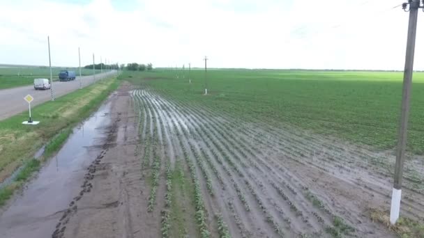 Kleine agrarische stad, kraj Stavropol. — Stockvideo