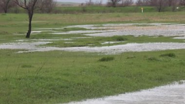 Sulak tarım şiddetli yağmur ilkbaharda sonra. Rusya.
