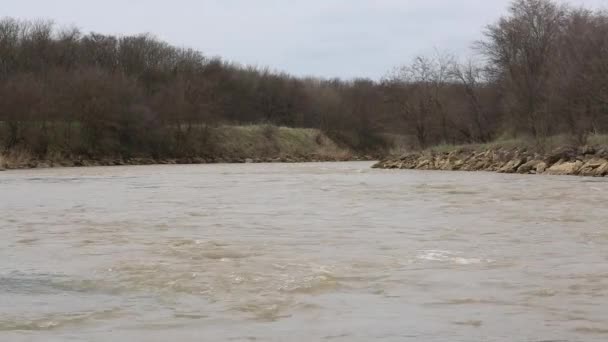 Landschap met een stormachtige lente rivier — Stockvideo