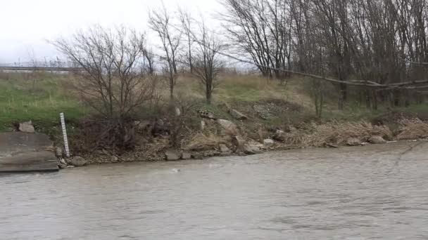 Paesaggio con un fiume di sorgente tempestoso — Video Stock