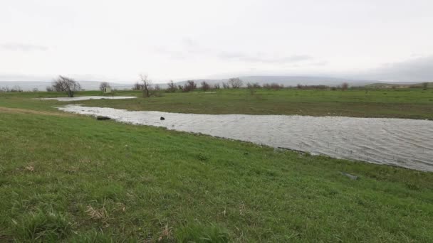 Mokradła w rolnictwie po ulewnym deszczu na wiosnę. Rosja. — Wideo stockowe