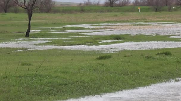 Wetlands in agriculture after heavy rain in the spring. Russie . — Video