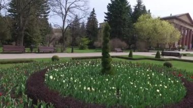 Stavropol Meydanı. Rusya