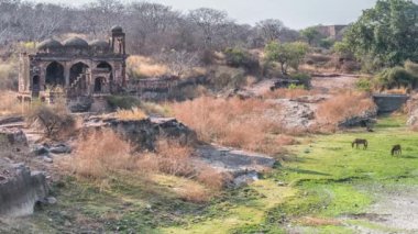Tapınağı kalıntıları, Ranthambore Fort, Ranthambore Milli Parkı, Rajasthan, Hindistan