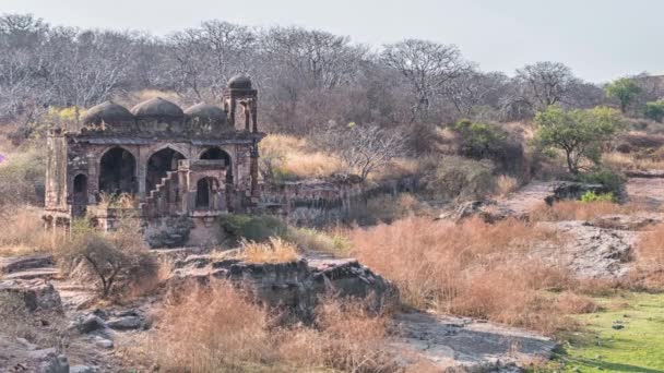 Tapınağı kalıntıları, Ranthambore Fort, Ranthambore Milli Parkı, Rajasthan, Hindistan — Stok video