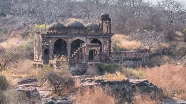 Tempel ruïnes, Ranthambore Fort, Ranthambore National Park, Rajasthan, India — Stockvideo