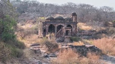 Tapınağı kalıntıları, Ranthambore Fort, Ranthambore Milli Parkı, Rajasthan, Hindistan