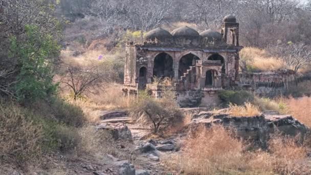 Tapınağı kalıntıları, Ranthambore Fort, Ranthambore Milli Parkı, Rajasthan, Hindistan — Stok video