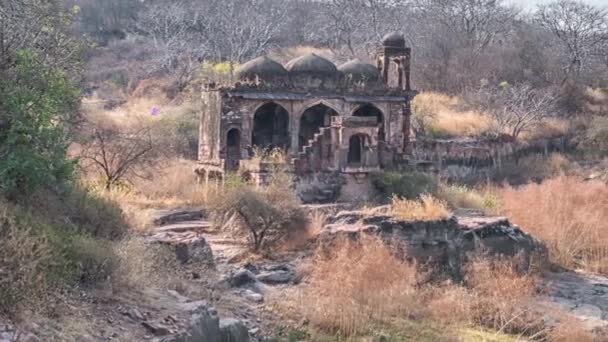 Ruinas del templo, Fuerte Ranthambore, Parque Nacional Ranthambore, Rajastán, India — Vídeo de stock