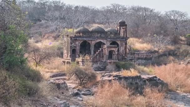 Tapınağı kalıntıları, Ranthambore Fort, Ranthambore Milli Parkı, Rajasthan, Hindistan — Stok video