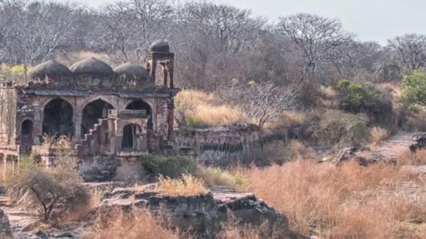 Tapınağı kalıntıları, Ranthambore Fort, Ranthambore Milli Parkı, Rajasthan, Hindistan — Stok video
