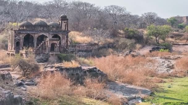 Temple Ruins, Ranthambore Fort, Ranthambore National Park, Rajasthan, Índia — Vídeo de Stock