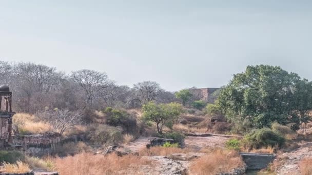 Руины Фелле, Форт Рантамбор, Национальный парк Рантамбор, Раджастхан, Индия — стоковое видео