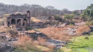 Tapınağı kalıntıları, Ranthambore Fort, Ranthambore Milli Parkı, Rajasthan, Hindistan