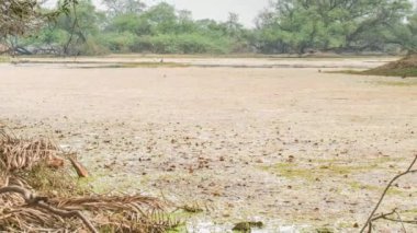 keolado Milli Parkı, Hindistan'ın güzel göle