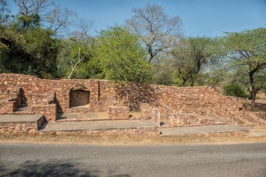 Kırmızı Fort Agra. UNESCO Dünya Mirası sit alanı.