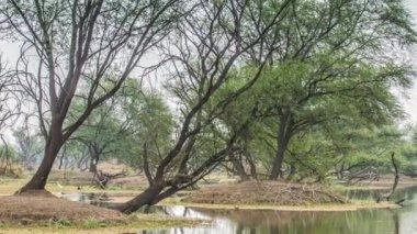 keolado Milli Parkı, Hindistan'ın güzel göle