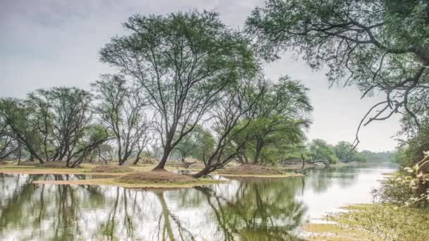 Bellissimo lago nel parco nazionale Keolado, India — Video Stock