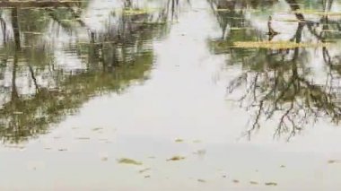 keolado Milli Parkı, Hindistan'ın güzel göle