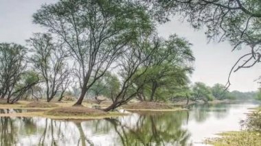 keolado Milli Parkı, Hindistan'ın güzel göle