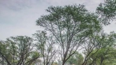 keolado Milli Parkı, Hindistan'ın güzel göle