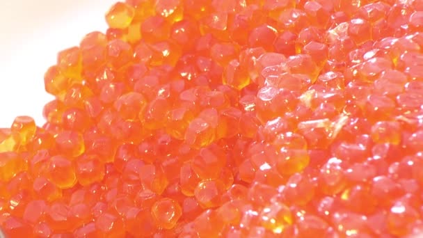 Caviar granular salado Pacífico pescado rojo silvestre como fondo alimentario . — Vídeos de Stock