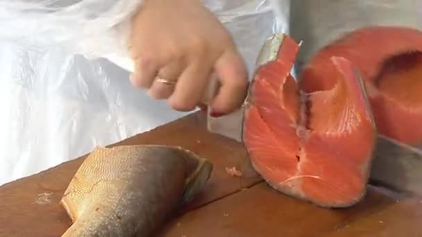 Variedad de peces de mar en el mostrador en una tienda de pescado . — Vídeo de stock