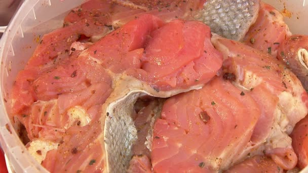 Variety of sea fishes on the counter in a fish shop. — Stock Video