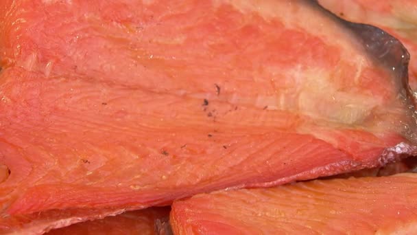 Variety of sea fishes on the counter in a fish shop. — Stock Footage Variety of sea fishes on the counter in a fish shop. Stock Video