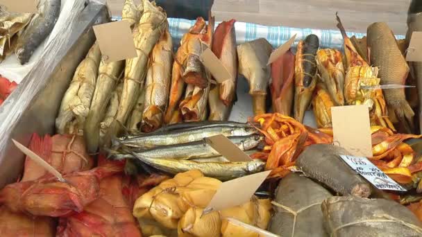 Variety of sea fishes on the counter in a fish shop. — Stock Footage Variety of sea fishes on the counter in a fish shop. Video Clip
