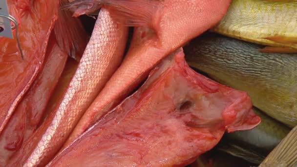 Variedade de peixes marinhos no balcão em uma loja de peixes . — Vídeo de Stock