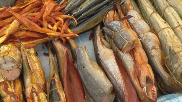 Variety of sea fishes on the counter in a fish shop. — Stock Video